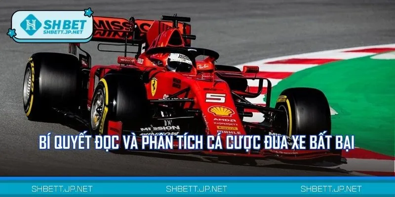 Bỏ túi những tuyệt chiêu đỉnh cao khi đặt cược đua xe