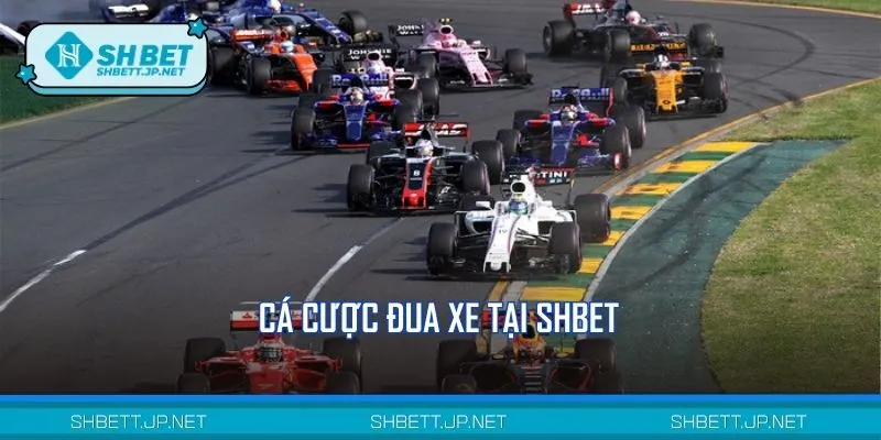 Bộ môn đua xe siêu Hot