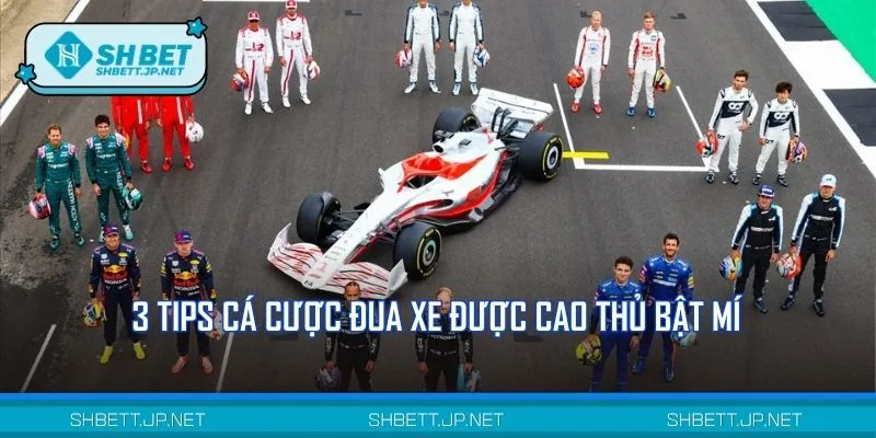 Lưu ngay những mẹo hay cá cược đua xe 