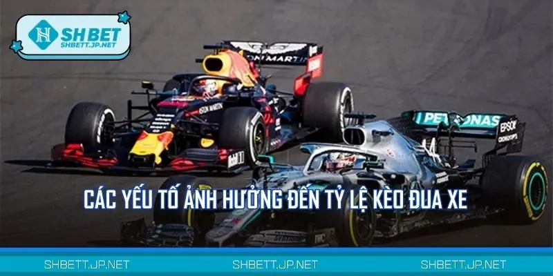 Tổng hợp những yếu tố tác động đến kết quả kèo cá cược đua xe