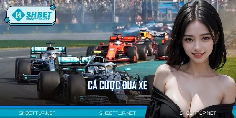 Cá Cược Đua Xe: Sân chơi Tốc Độ, Chinh Phục Mọi Cung Đường