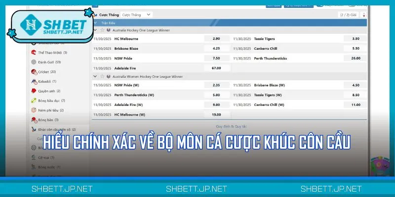 Cá cược khúc côn cầu là bộ môn thể thao thịnh hành nhất hiện nay