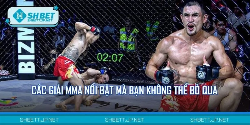 Tổng hợp các giải đấu MMA nổi bật nhất hành tinh