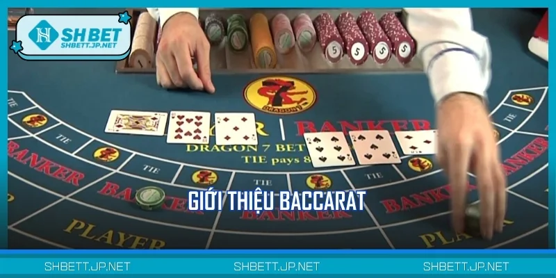 Giới thiệu Baccarat