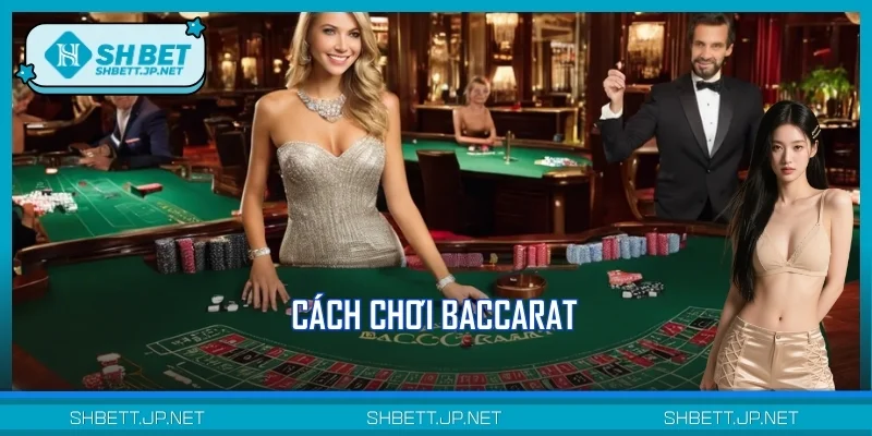 Cách Chơi Baccarat Chuẩn SHBET – Chiến Thuật Thắng Cao 99%