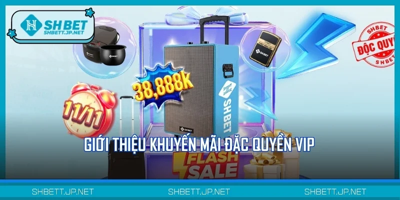 Giới thiệu khuyến mãi đặc quyền VIP
