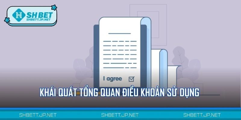 Khái quát sơ lược về quy định sử dụng 