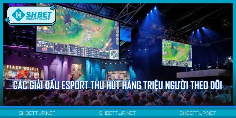 Các giải đấu Esport thu hút hàng triệu người theo dõi