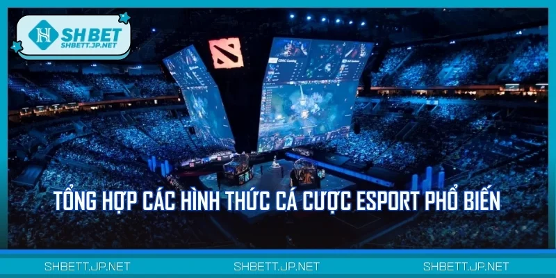 Tổng hợp các hình thức cá cược Esport phổ biến