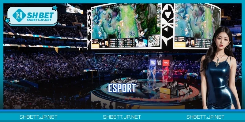 Esport SHBET – Sân Chơi Cá Cược Điện Tử Dẫn Đầu Xu Hướng