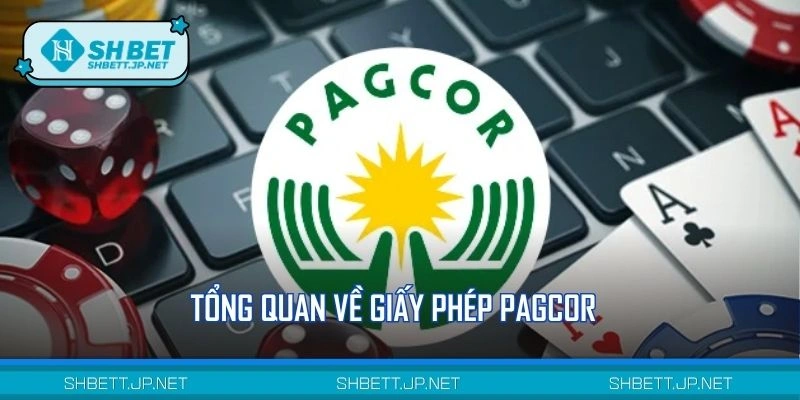 Khái quát về đơn hoạt động từ PAGCOR