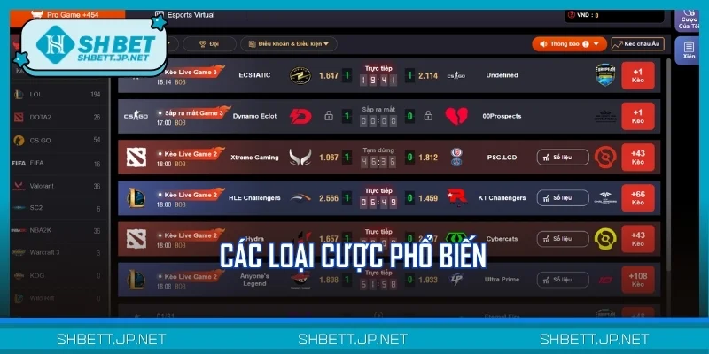 Hướng dẫn đặt cược Liên Minh Huyền Thoại với kèo cược phổ biến