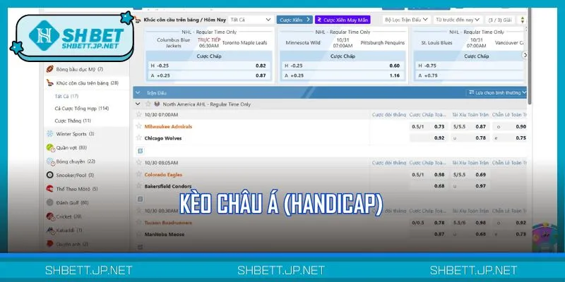 Kèo châu Á là hình thức đặt cược phổ biến trong các trận khúc côn cầu