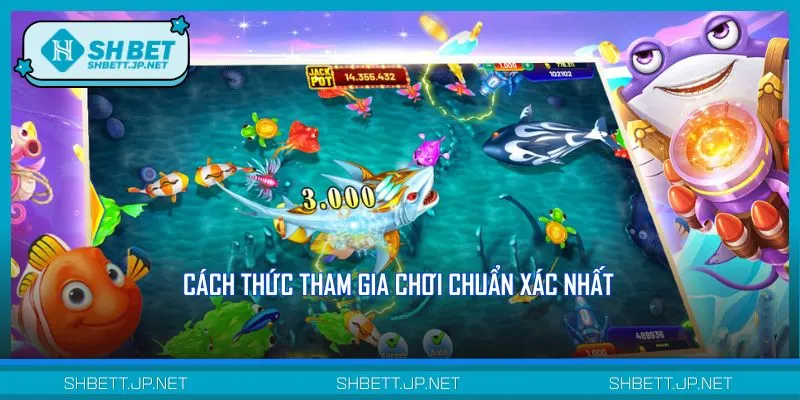 Nắm vững kiến thức cơ bản để tham gia chinh phục Vua săn cá dễ dàng