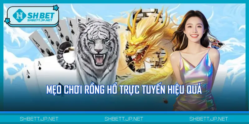 Mẹo cá cược một ván Rồng Hổ trực tuyến chuẩn chỉnh