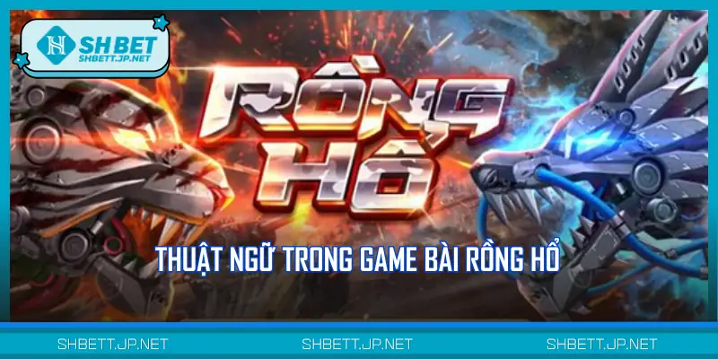 Những thuật ngữ cần nắm rõ khi chơi Rồng Hổ trực tuyến