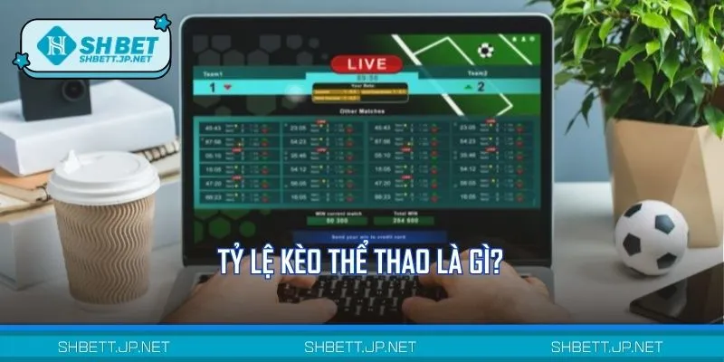 Khái niệm tỷ lệ kèo thể thao