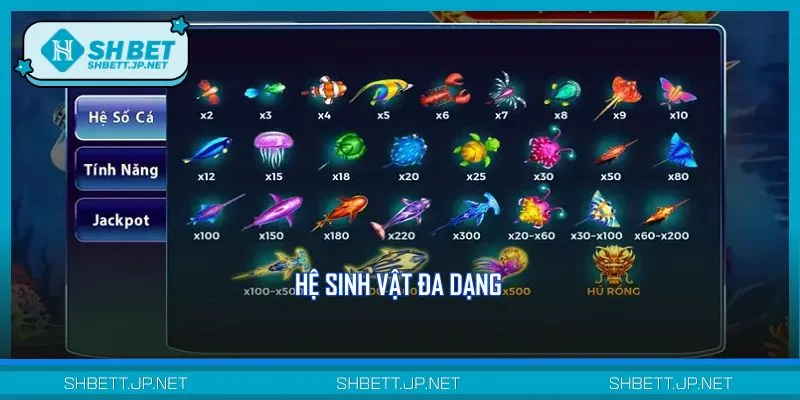 Vua săn cá trang bị hệ sinh biển vô cùng đa dạng